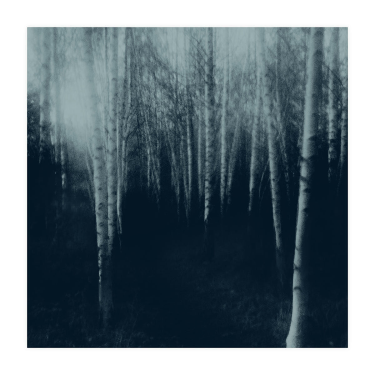 deep veins III (Print Only)