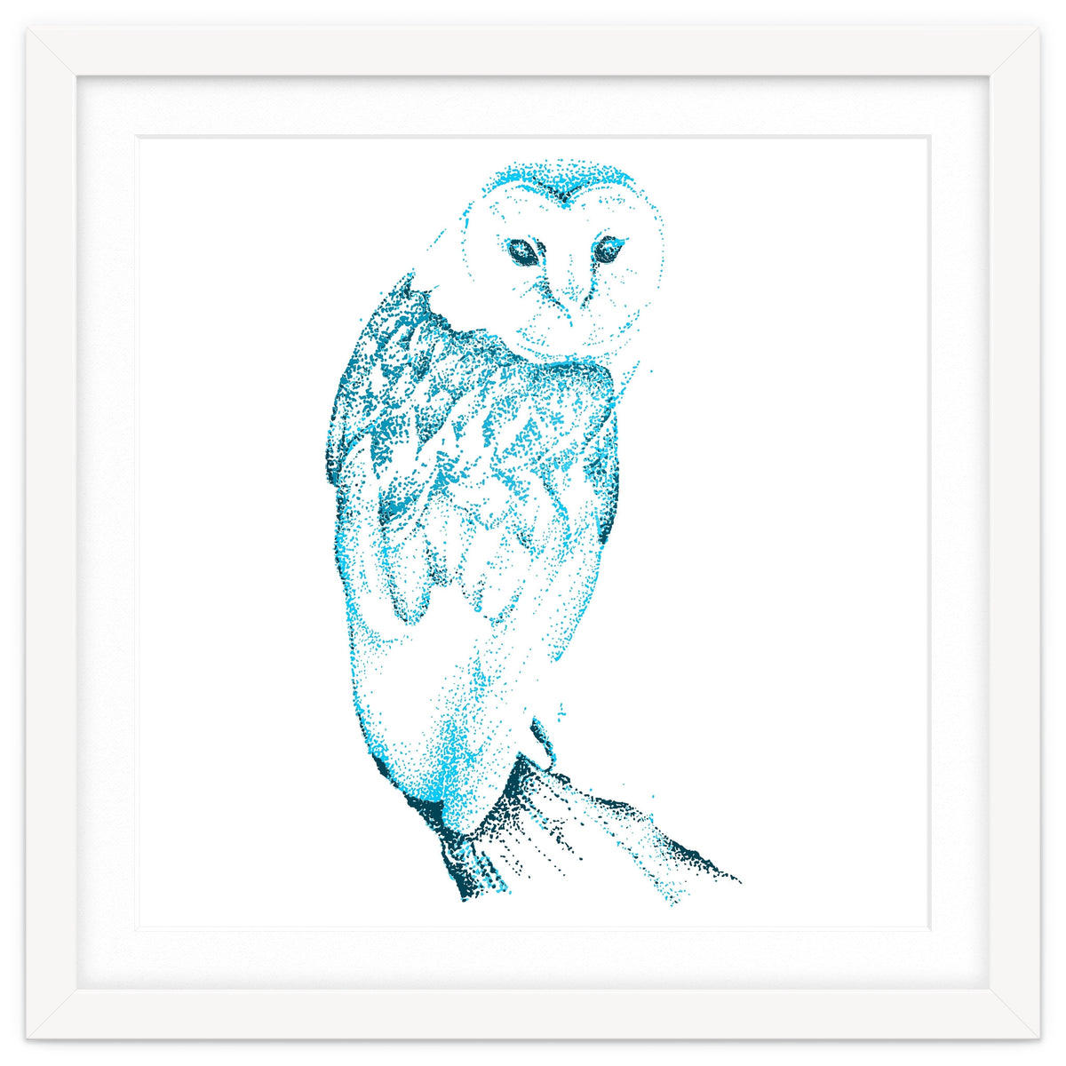 Barn Owl in Teal