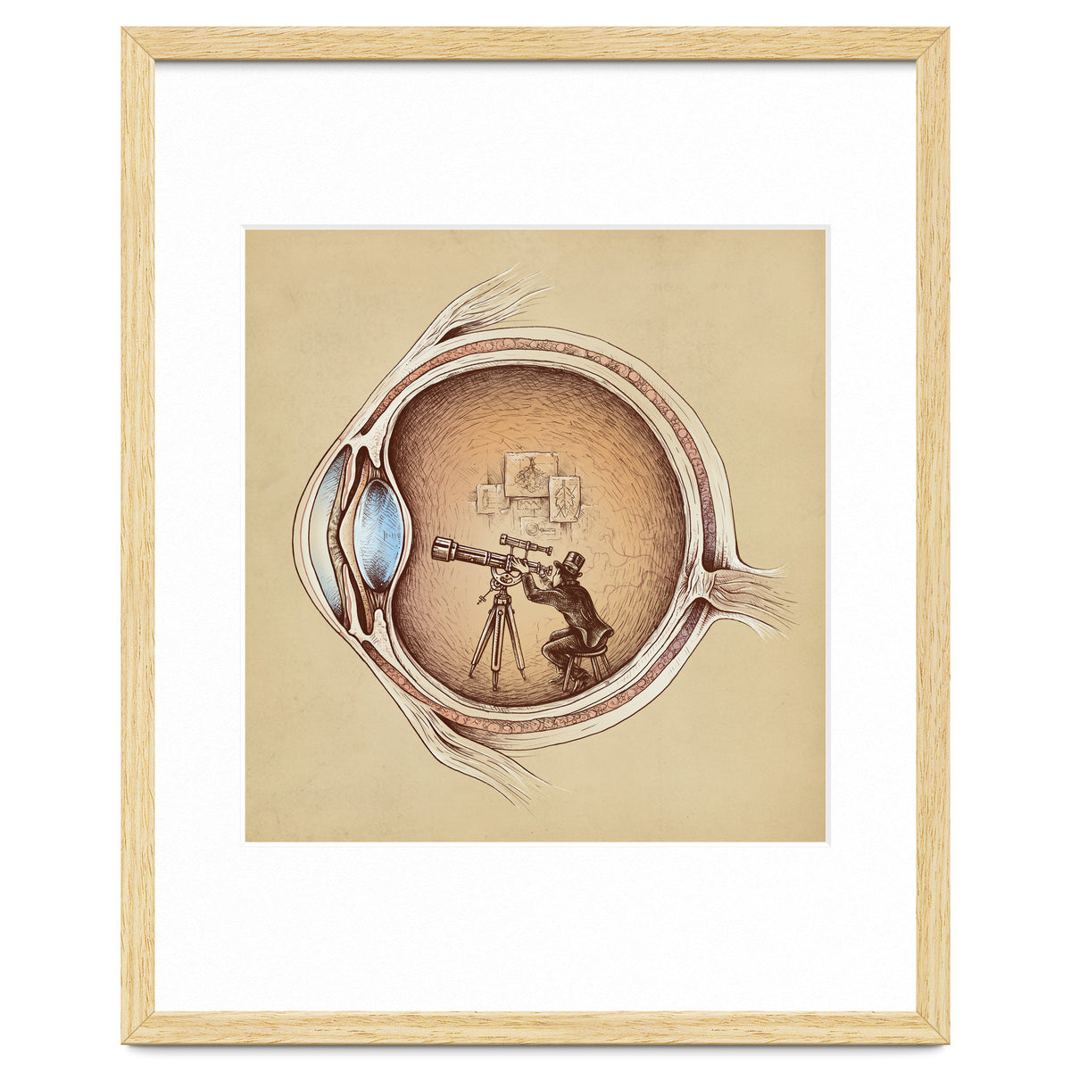 Extraordinary Observer