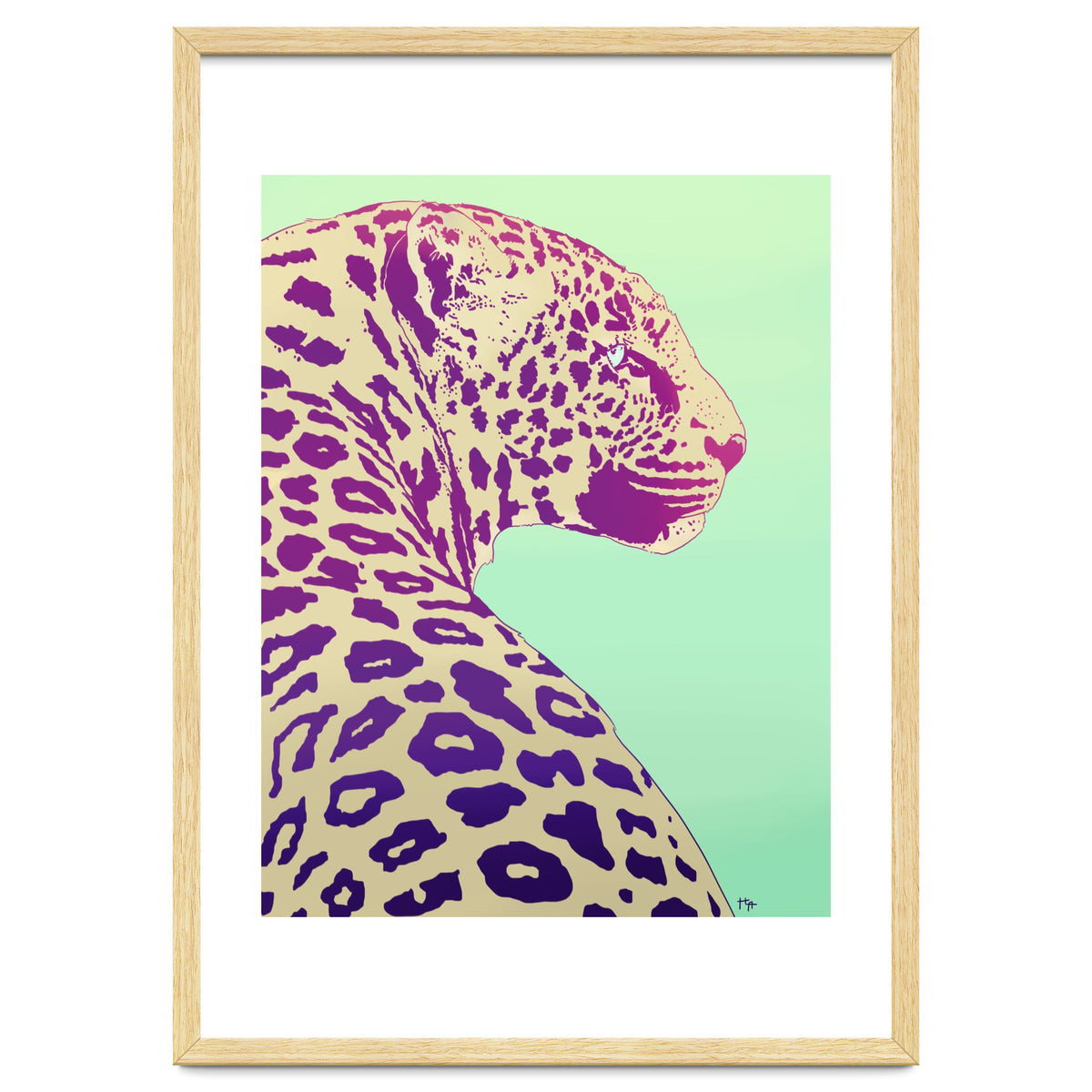 Leopard Under The Sun