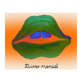 Boca Multicolor (Print Only) thumbnail