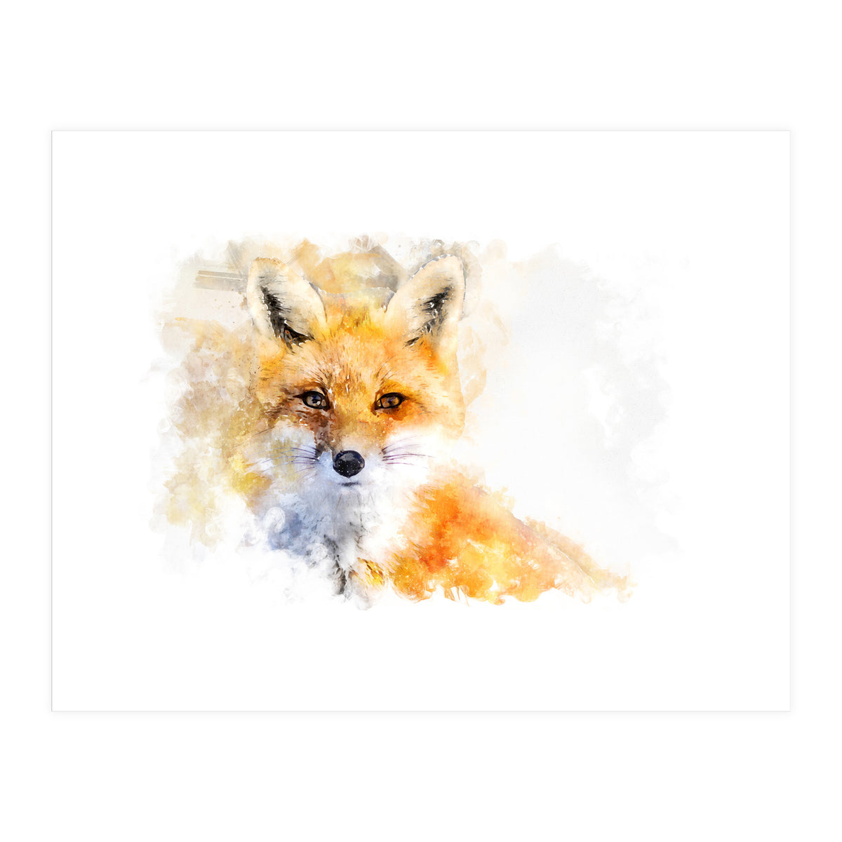 Mr Foxy (Print Only)