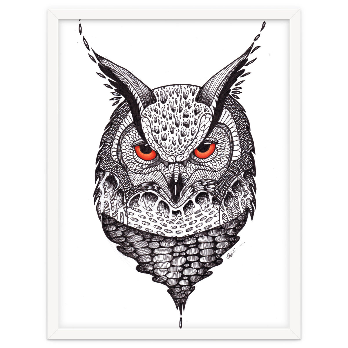Owl