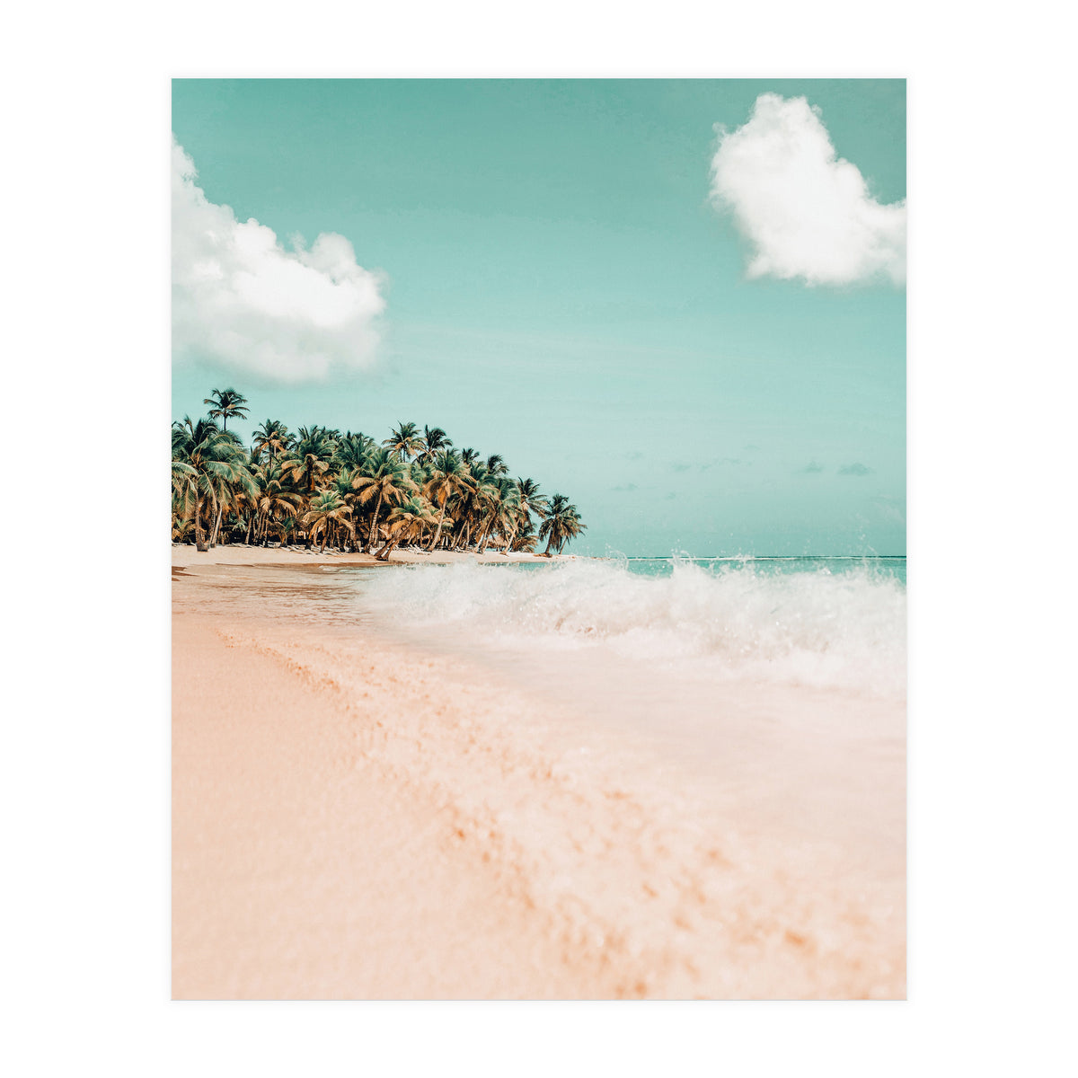 Palm Island (Print Only)