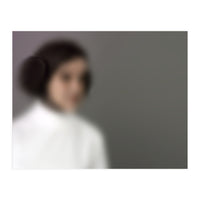 BLURRED PRINCESS I.II (Print Only)