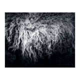 the sheep (Print Only) thumbnail