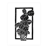 Fiddle Leaf Fig (Print Only) thumbnail
