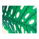 Foliage V2 (Print Only) thumbnail