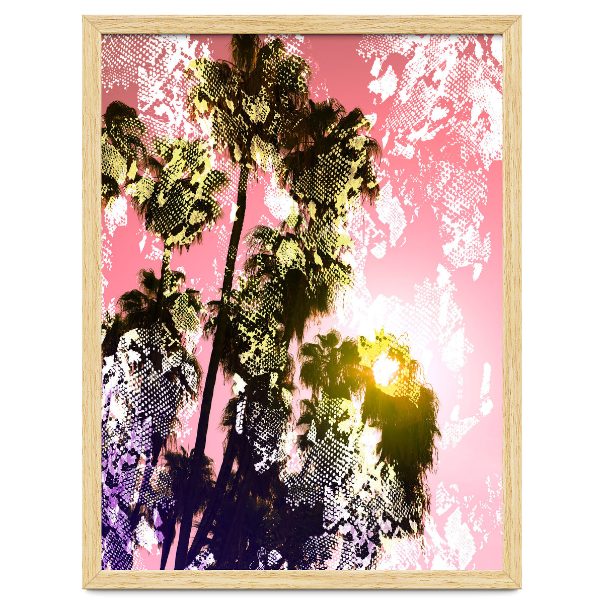 Snake sunset in paradise