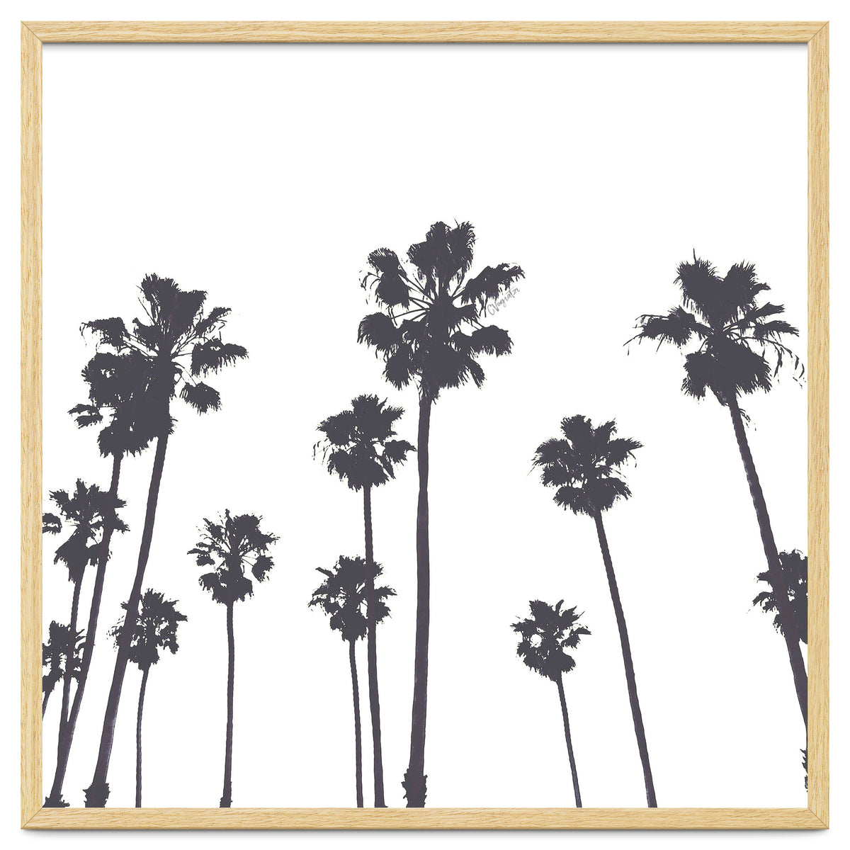 Palms & Sunset-Minimal B&W