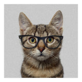 Cat Geek (Print Only) thumbnail