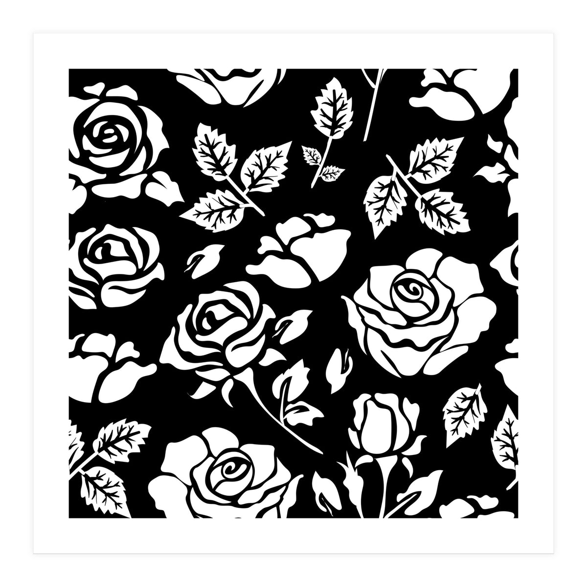 White Rose (Print Only)