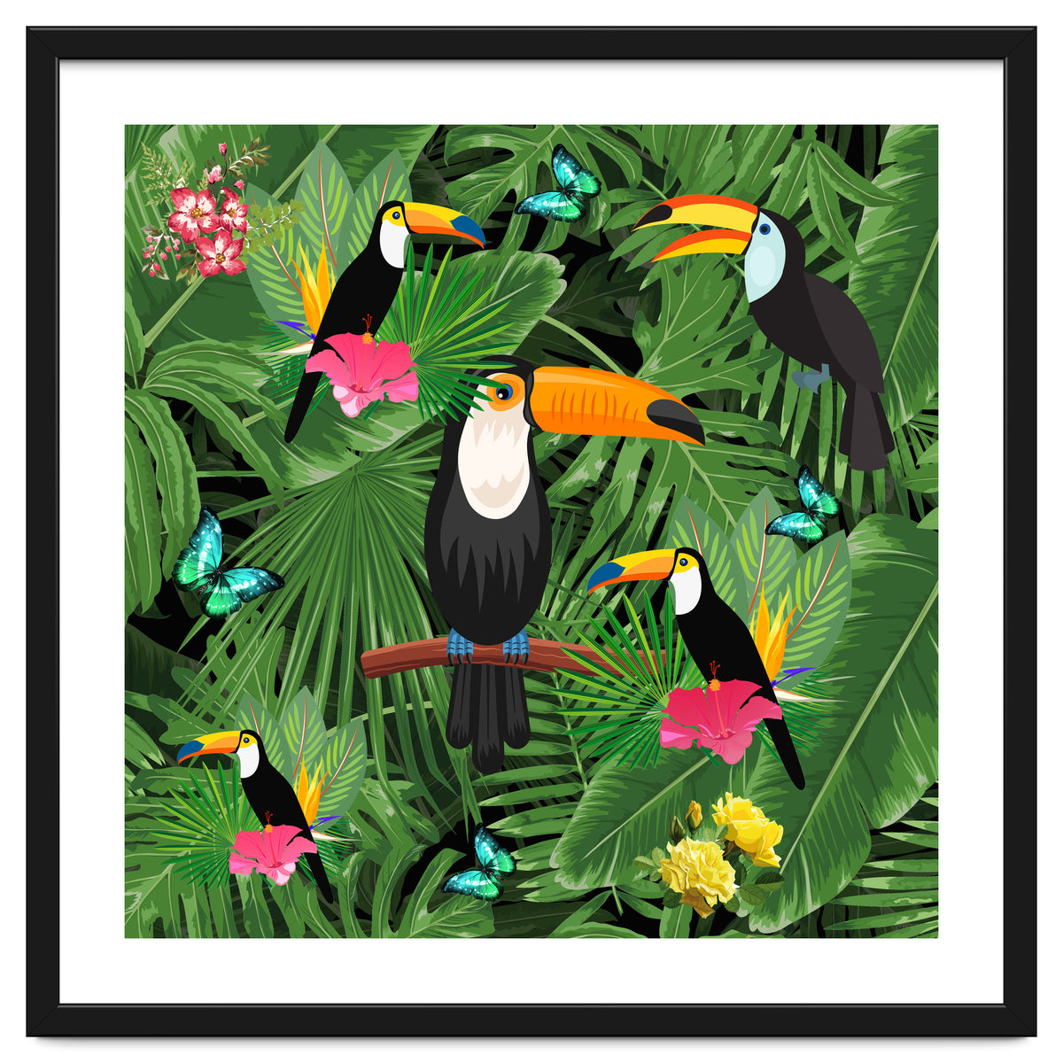 Toucan