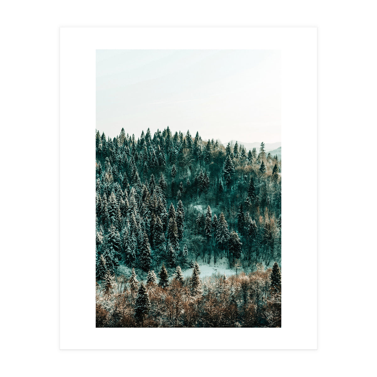 In The Wild (Print Only)