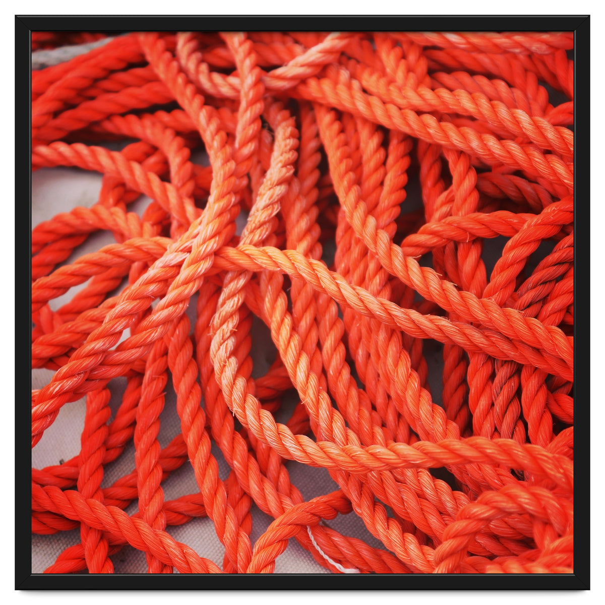 Orange ropes