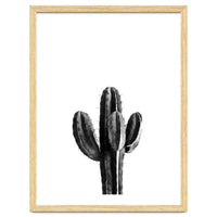 Cactus Black And White 03