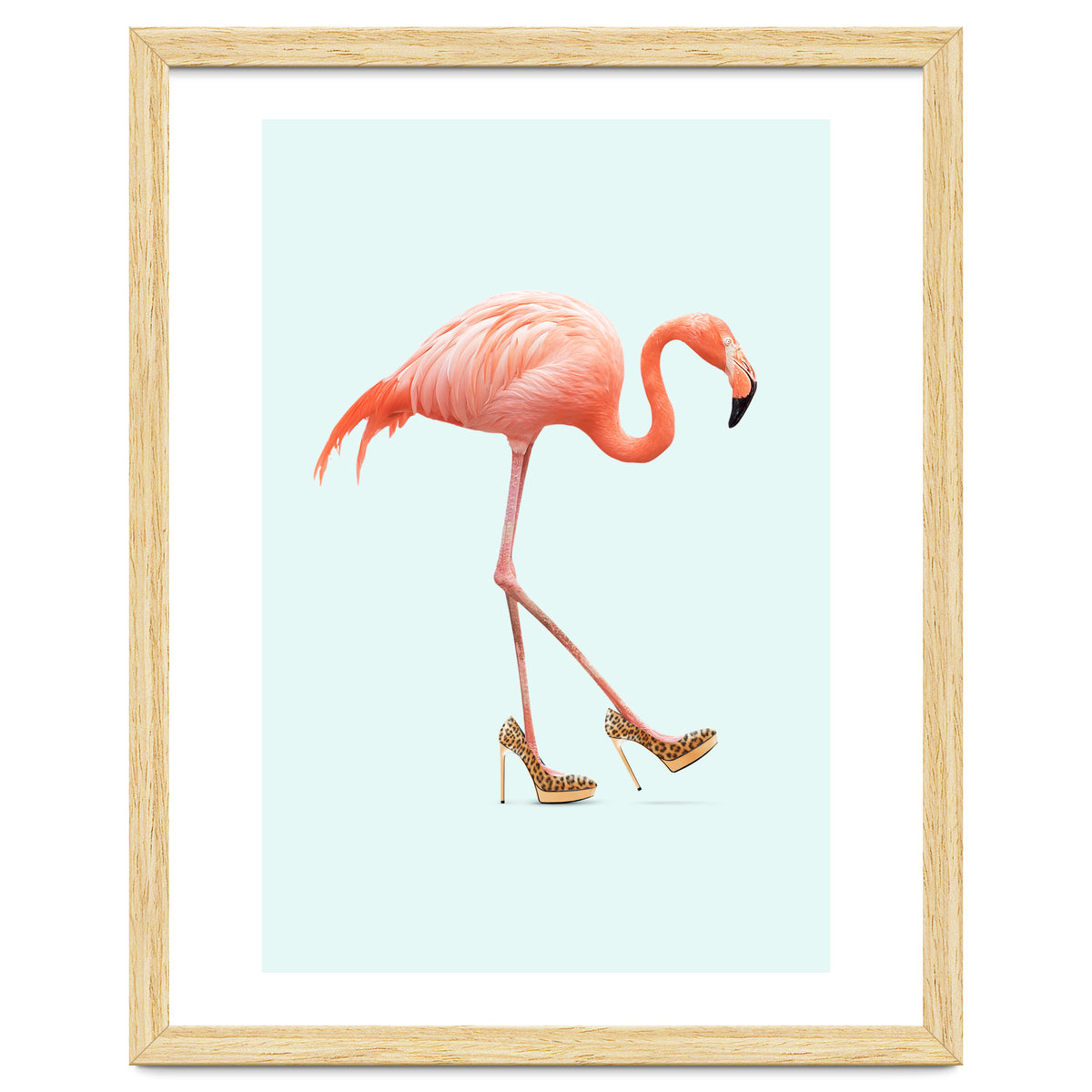 Fancy Flamingo