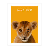 Lion Cub (Print Only) thumbnail
