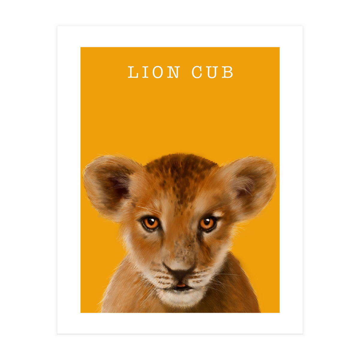 Lion Cub (Print Only)