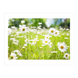 Flowers (Print Only) thumbnail