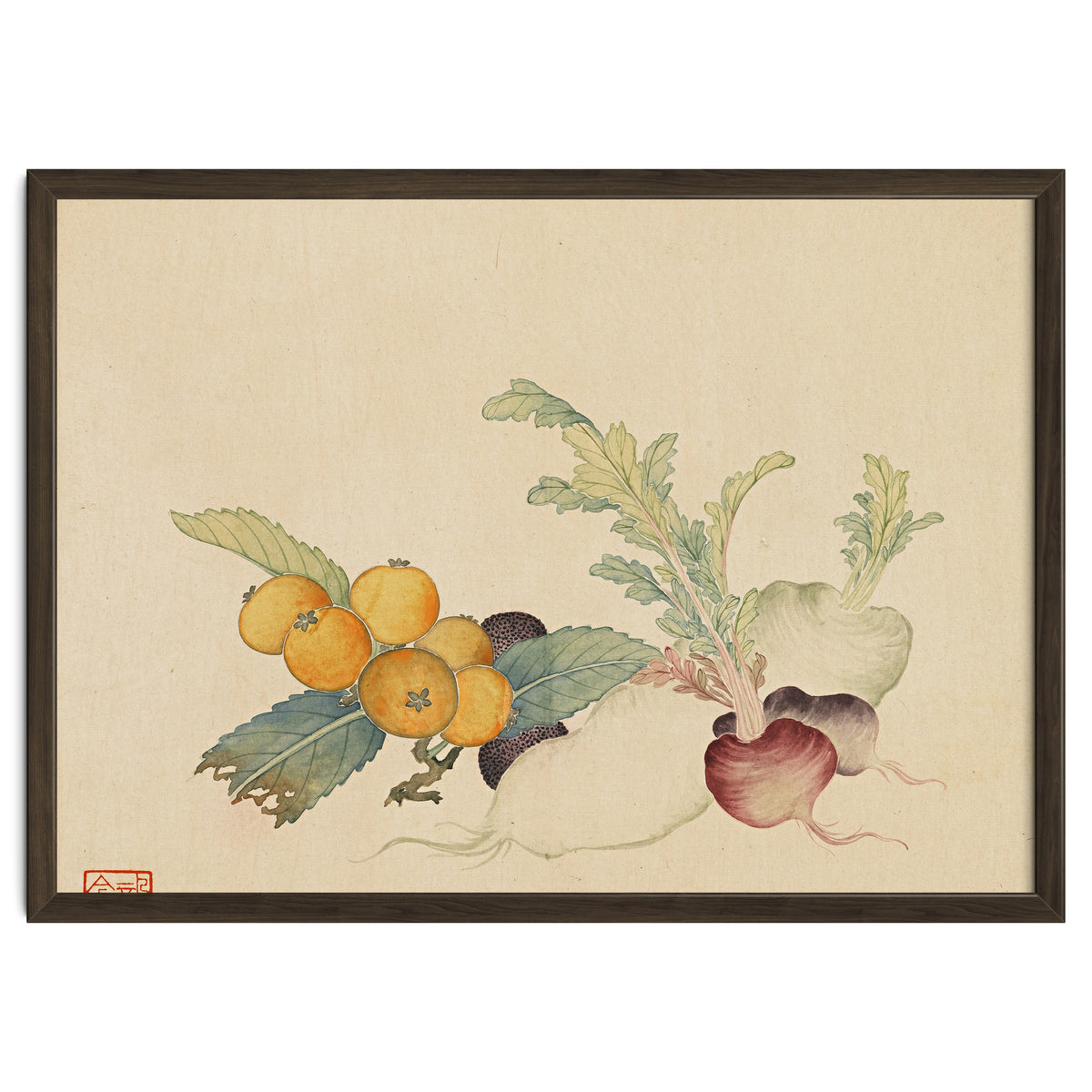 Wang Chengpi~flowers And Vegetables, Vegetables, Fruits, Loquat, White Radish, Carrot, Radish
