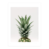 Pineapple Top (Print Only) thumbnail