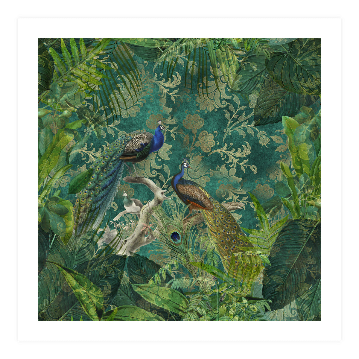 Mystic Peacocks (Print Only)