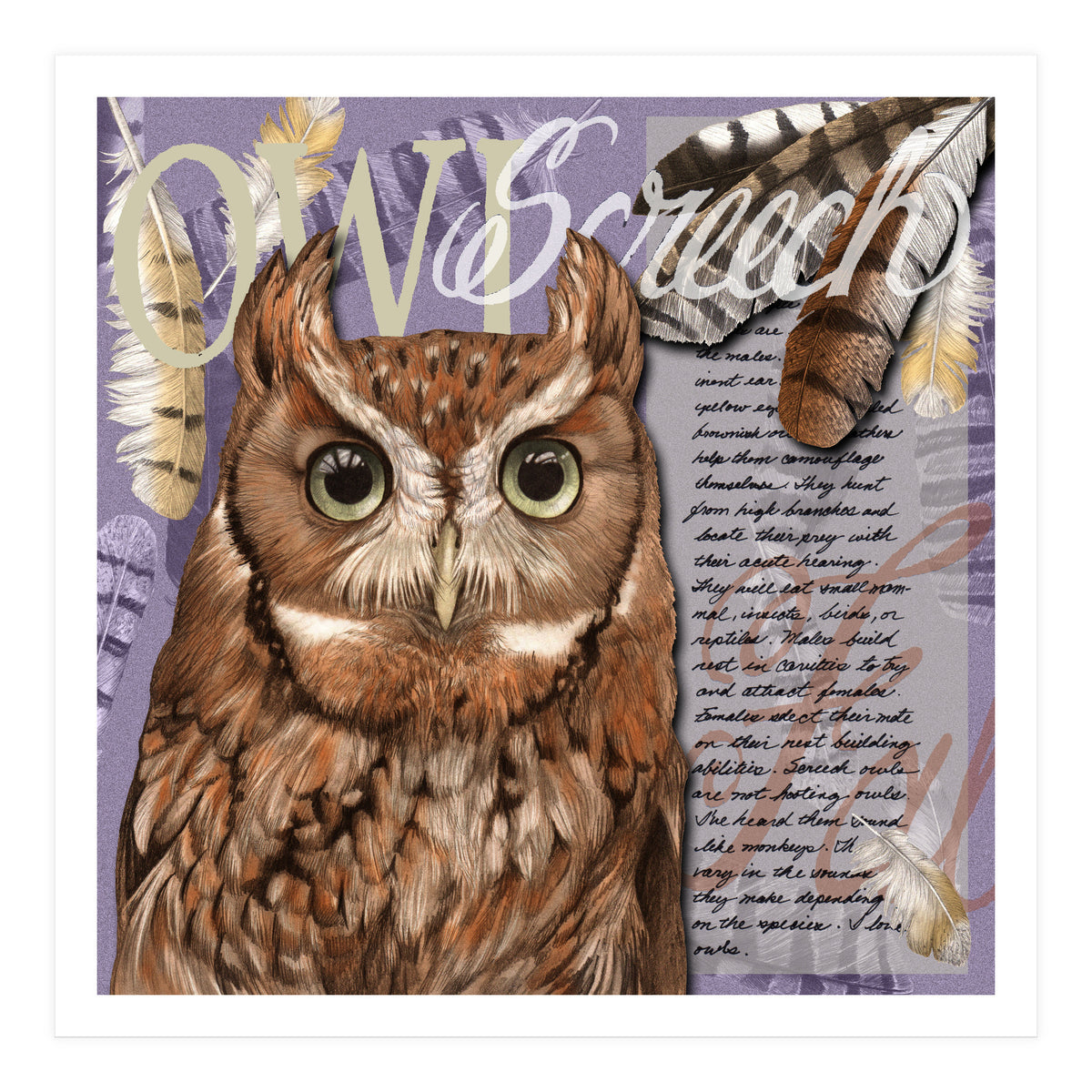 Screech Owl (Print Only)