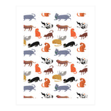 Cat Pattern (Print Only) thumbnail