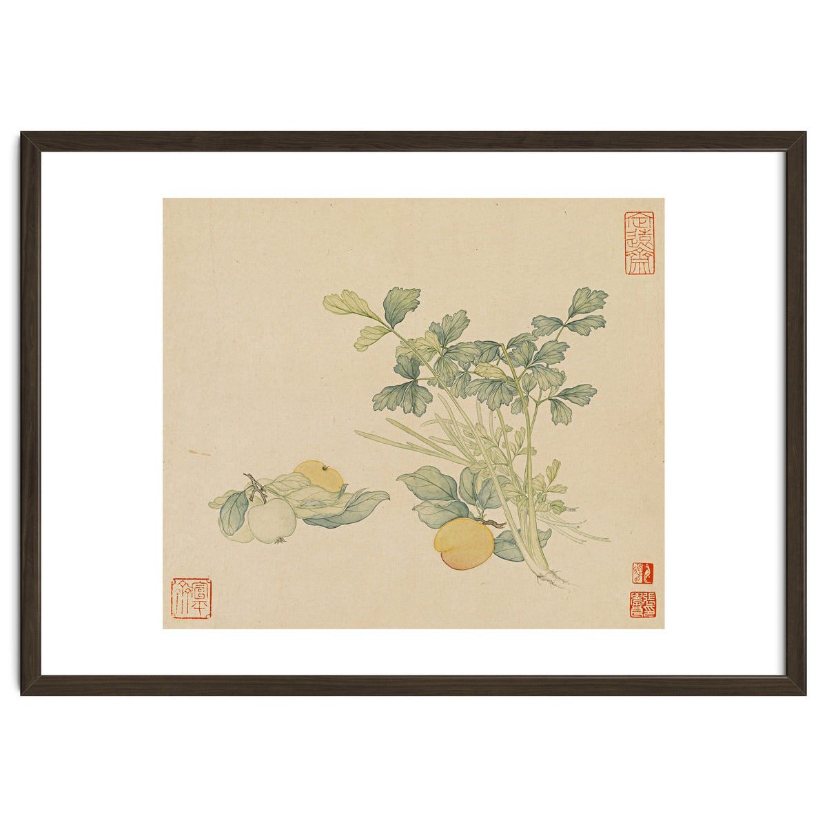 Wang Chengyu~flowers And Vegetables, Vegetables, Fruits, Plums, Apricots, Celery