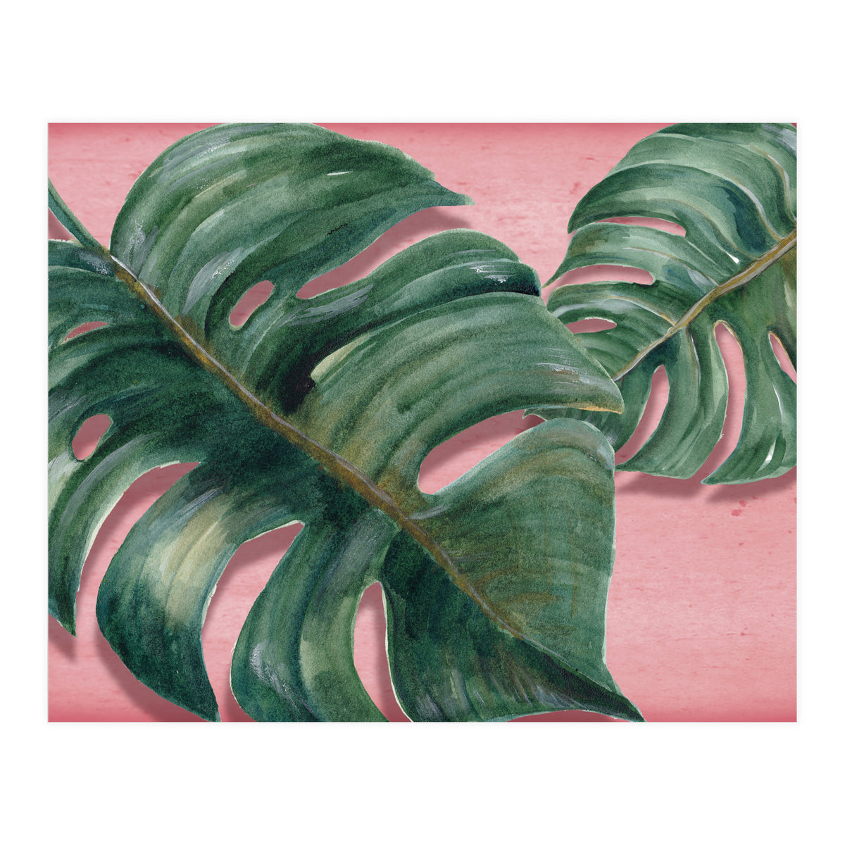 Monstera Leaf (Print Only)