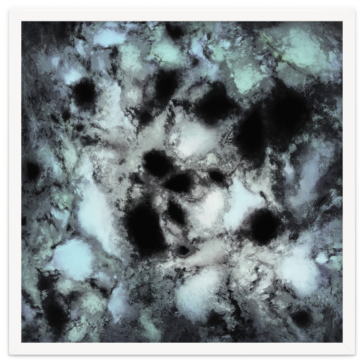 Searching For Animal Tracks