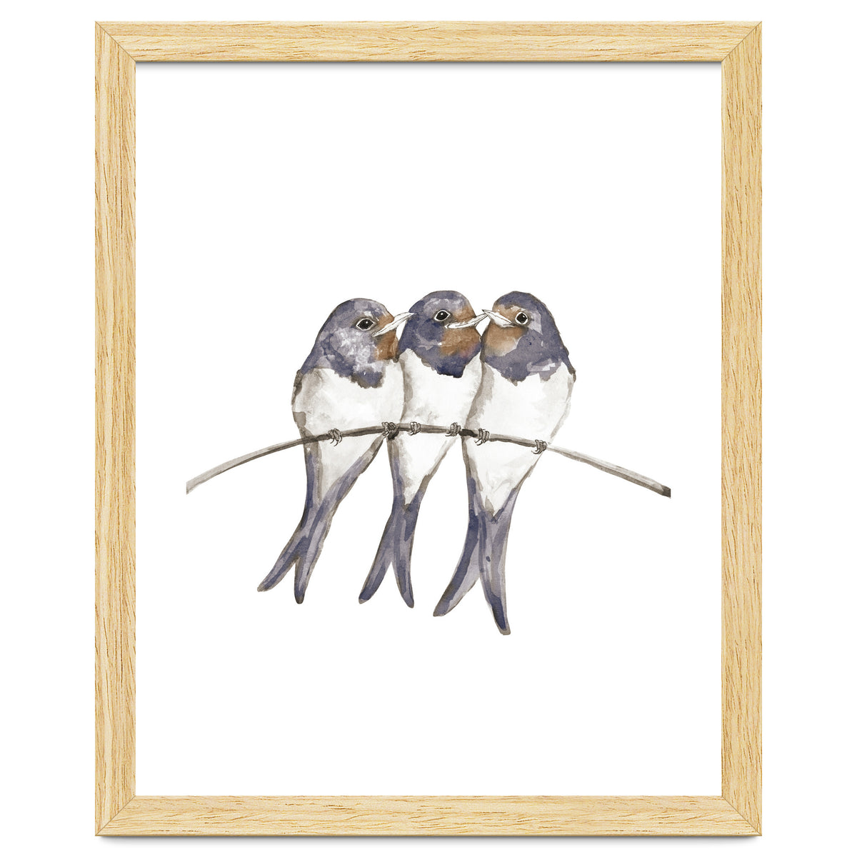 Three young swallows