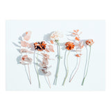 Minima (Print Only) thumbnail