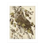 Great Horned Owl (Print Only) thumbnail