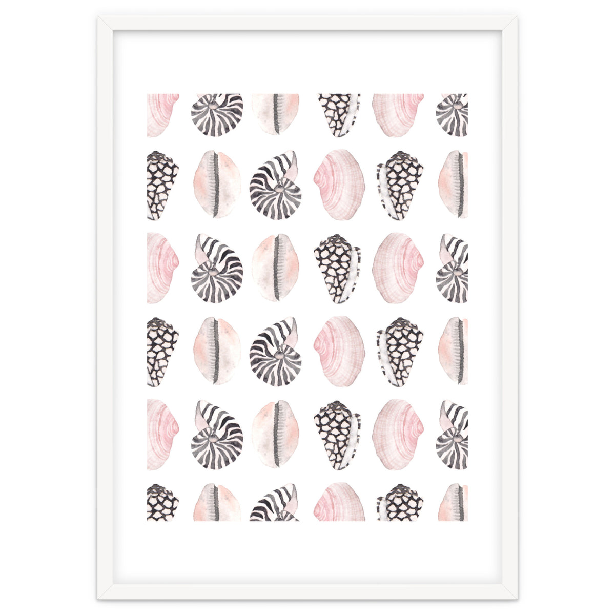 Seashell Pattern