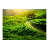Nature (Print Only) thumbnail