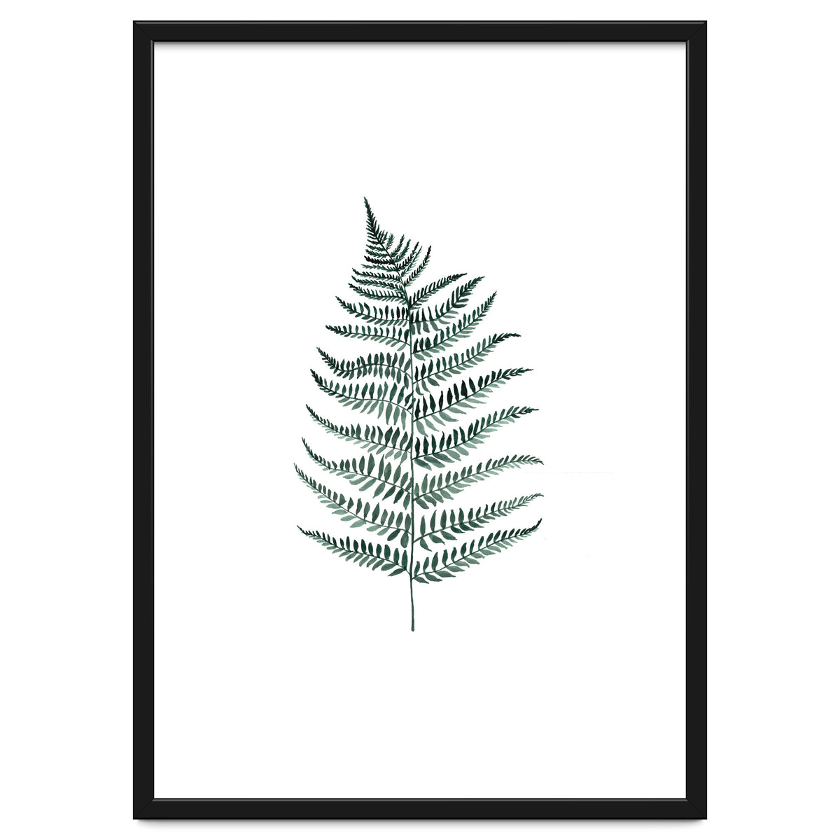 Botanical Illustration Silverfern