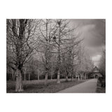 Bute Park, Cardiff (Print Only) thumbnail
