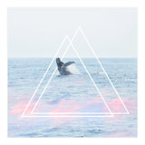 Whale of a Time (Print Only) thumbnail