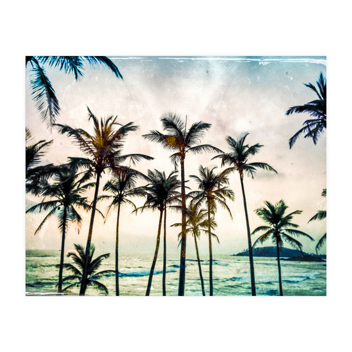 No Palm Trees (Print Only)