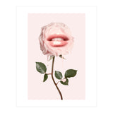 Glossy Rose (Print Only) thumbnail