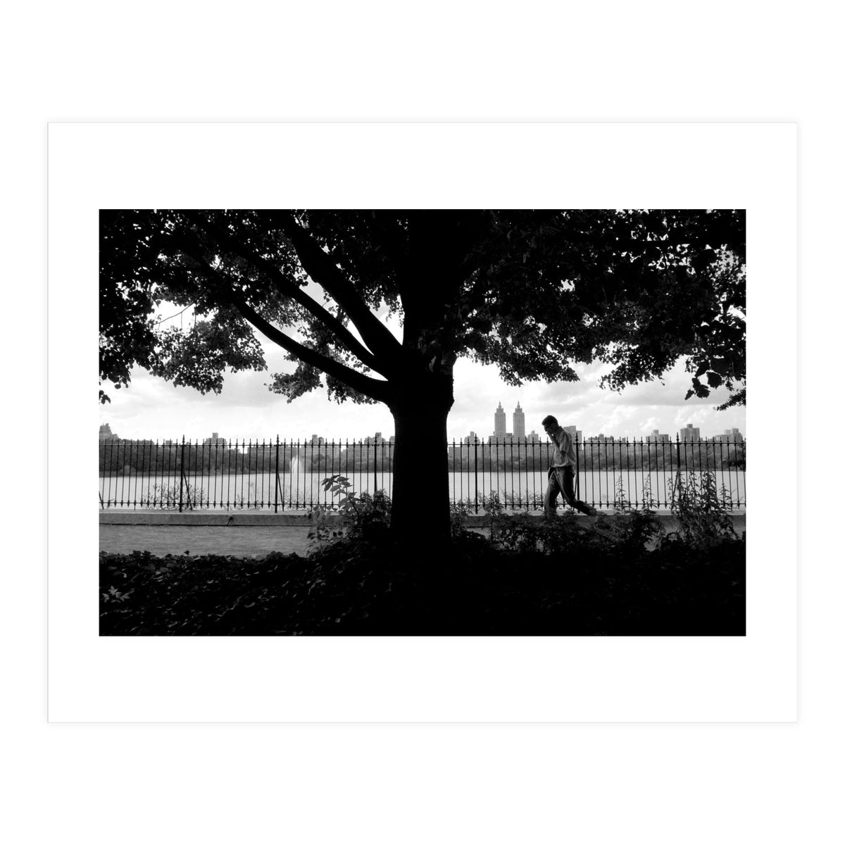 Central Park, New York City (Print Only)
