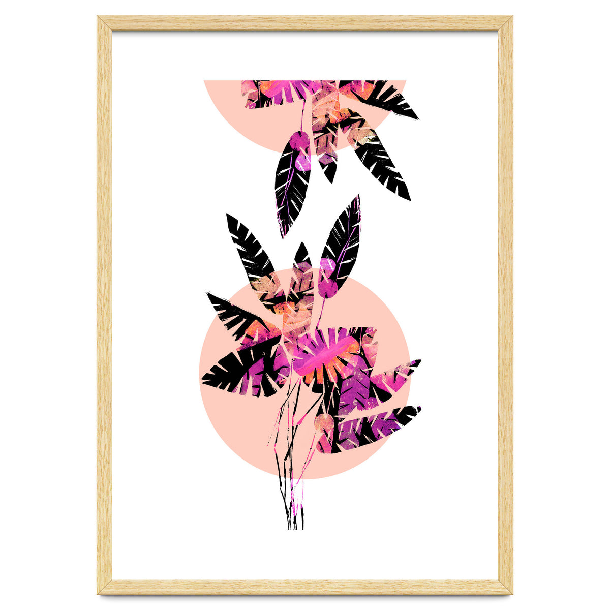 Pink Plants on Coral