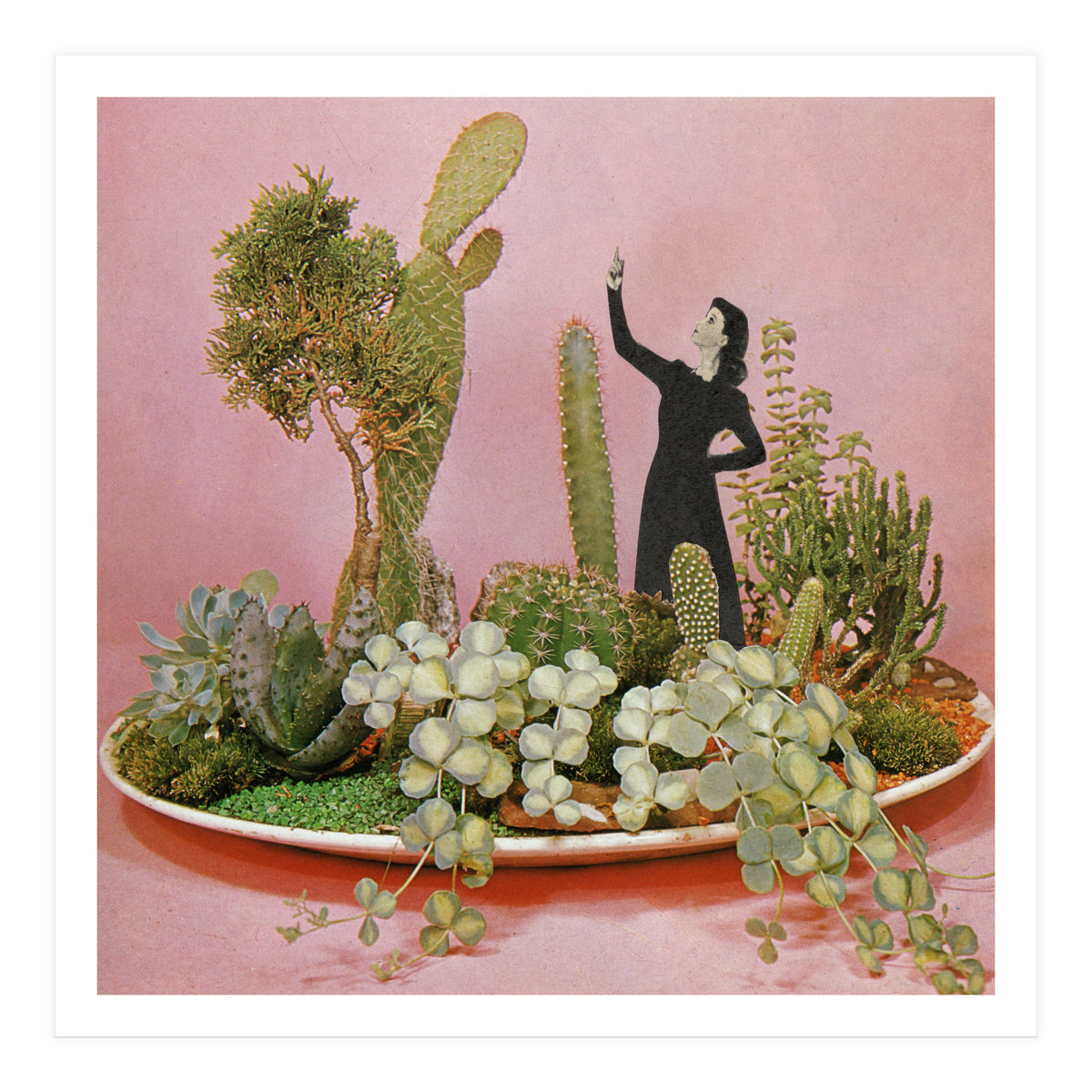 The Wonders Of Cactus Island (Print Only)