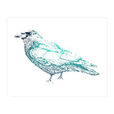 Teal Raven (Print Only) thumbnail