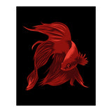 Betta (Print Only) thumbnail
