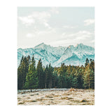 Winter Weather (Print Only) thumbnail