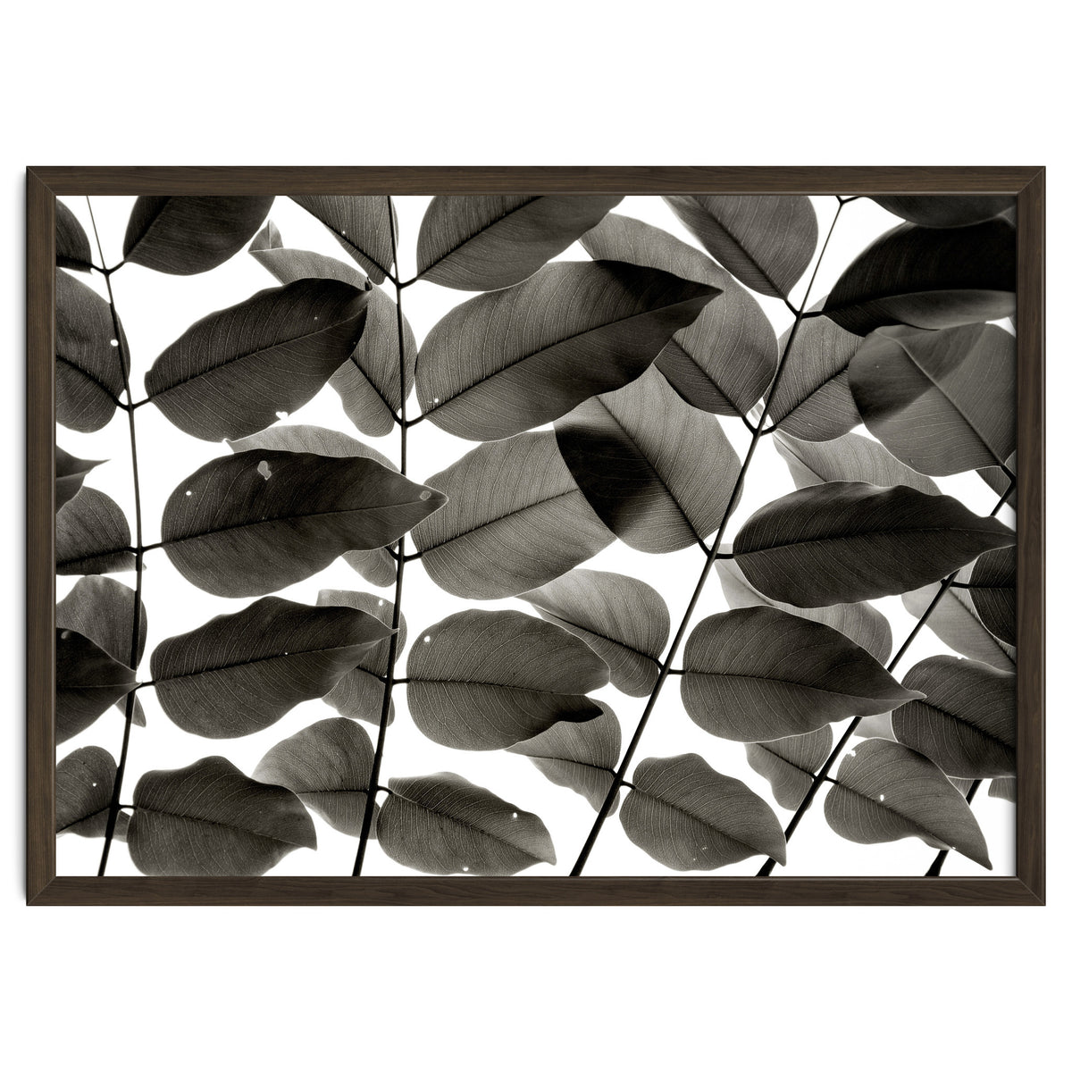 Branches and Leaves I