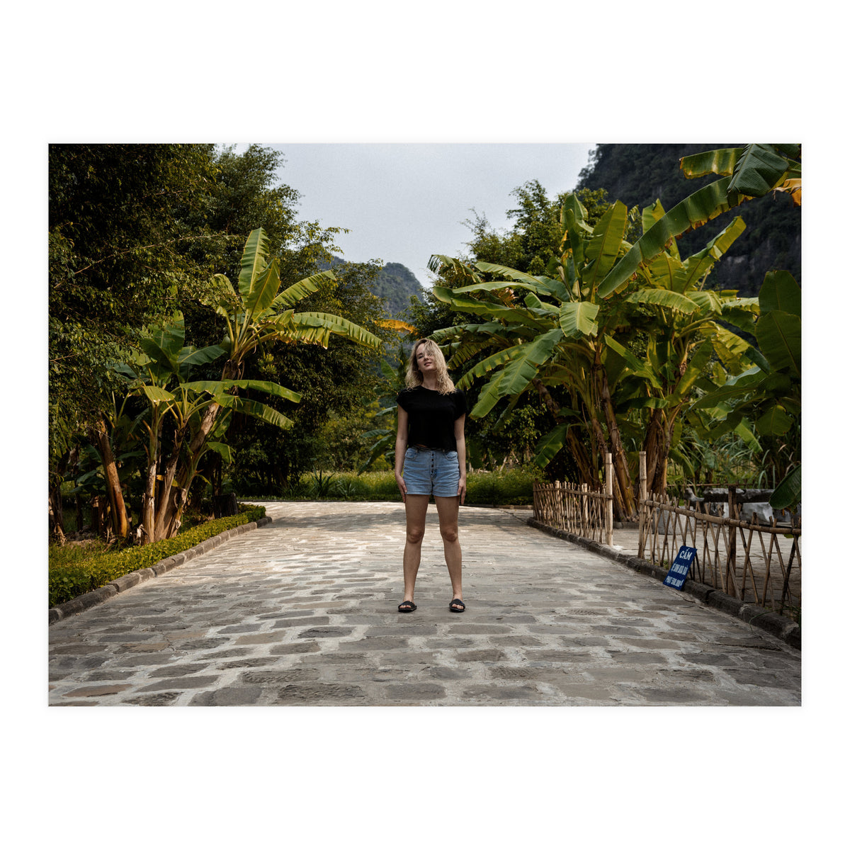 Spiritual Journey (Print Only)